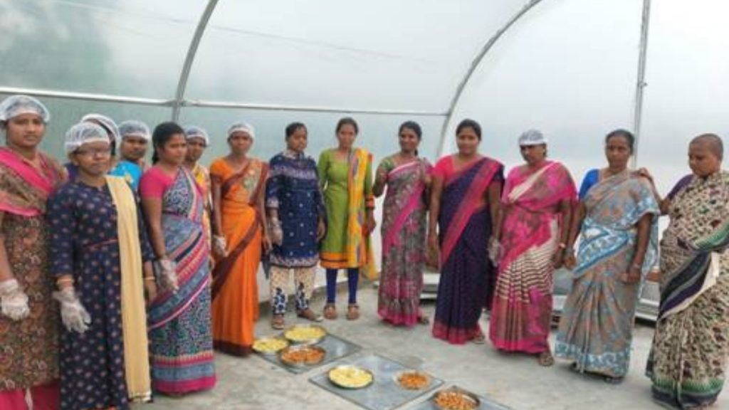 Women Technology Parks give wings to self-reliance dreams of rural women 