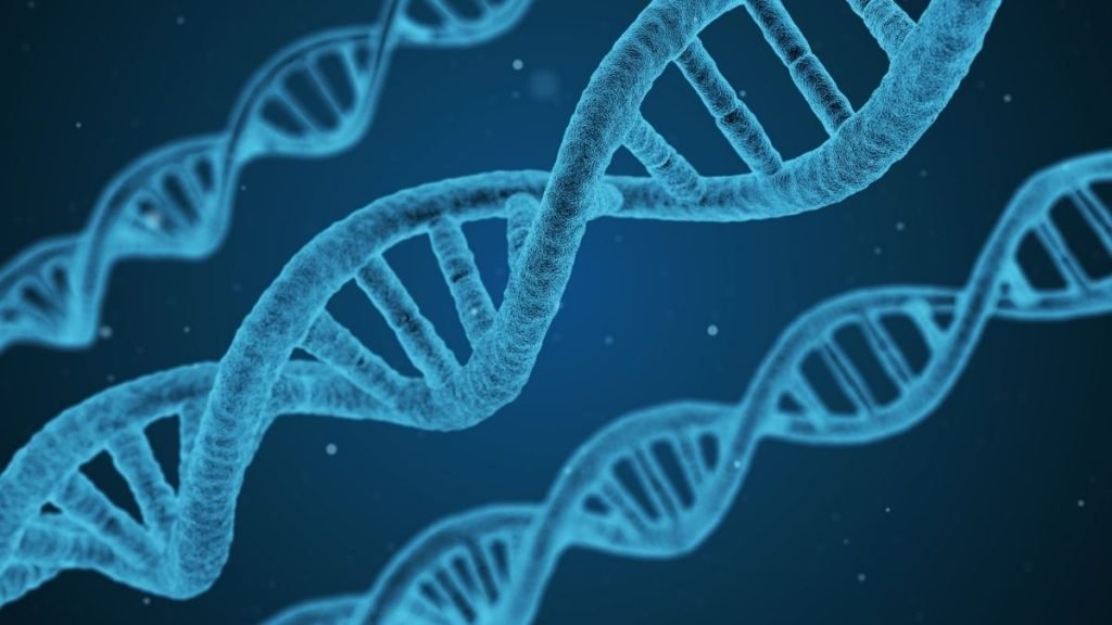 SARS-CoV-2 DNA integration into host genomes 