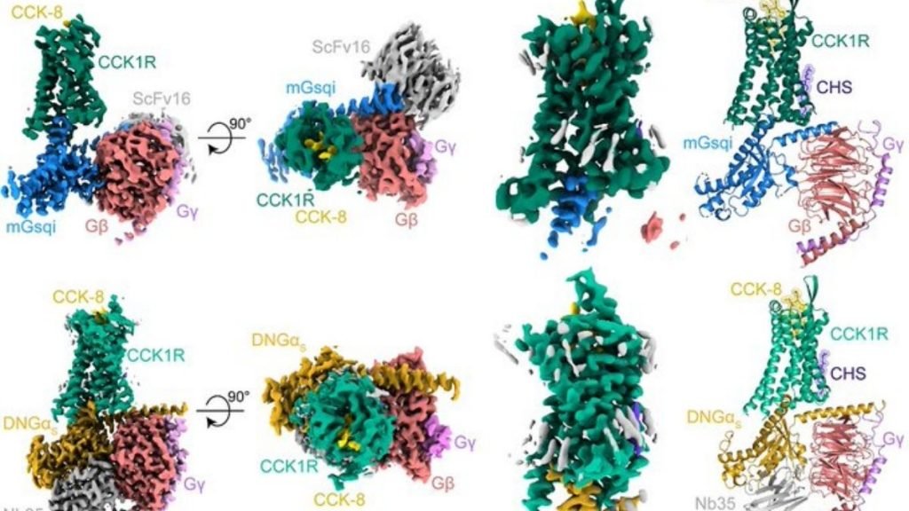 Cryo-EM facilities can help research in structural biology, enzymology, and drug discovery to combat new and emerging diseases 