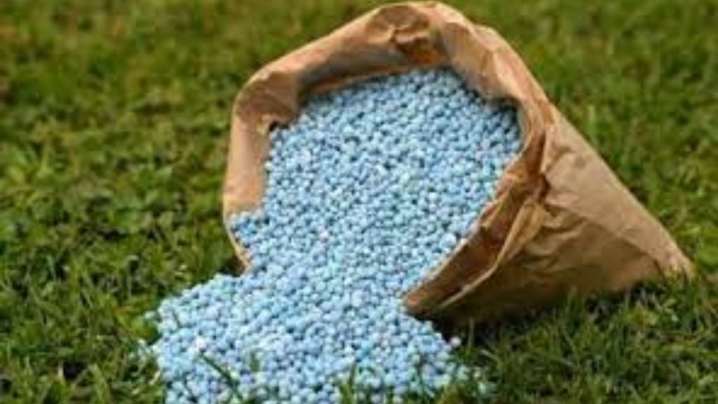 Cabinet approves Nutrient Based Subsidy (NBS) rates for Phosphatic and Potassic Fertilisers for the year 2021-22 