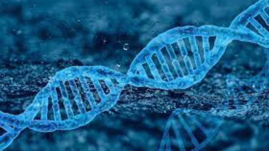 Studies find Genetic risk scores can aid in accurate diagnosis of epilepsy